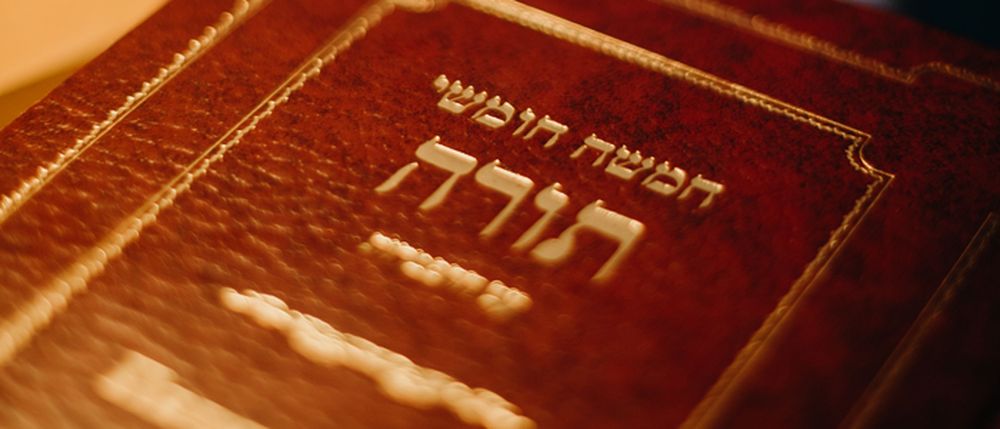 האם צריך להצטער על זה שאני "רק" בינונית?